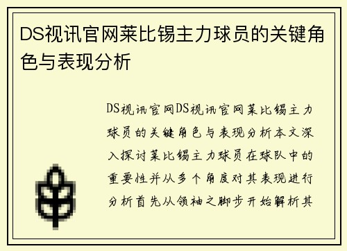 DS视讯官网莱比锡主力球员的关键角色与表现分析